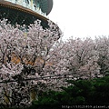 20110312淡水天元宮073.jpg