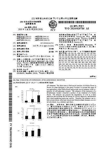 國際出貨單.jpg