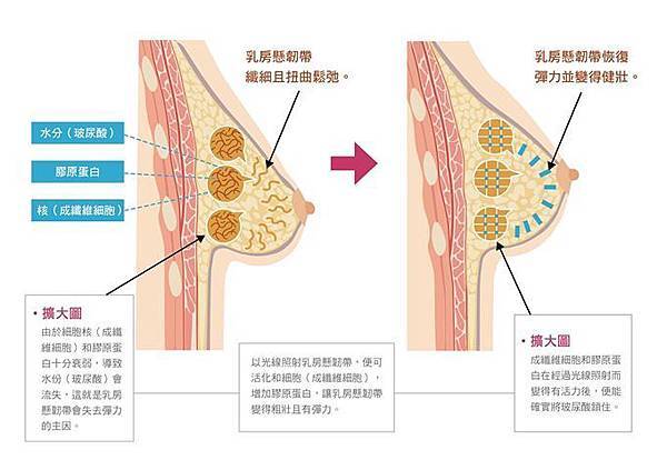 原理二.jpg