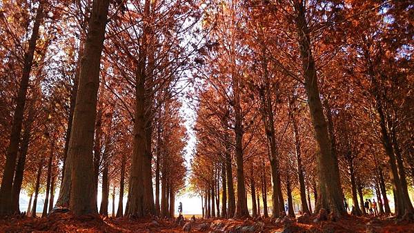 IMG_0405.jpg IMG_0405.jpg