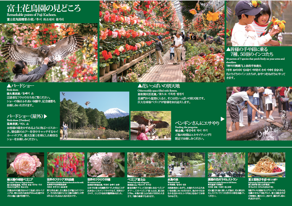 日本靜岡富士花鳥園 T的部落格 痞客邦