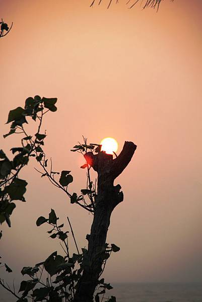 鎮海公園夕陽