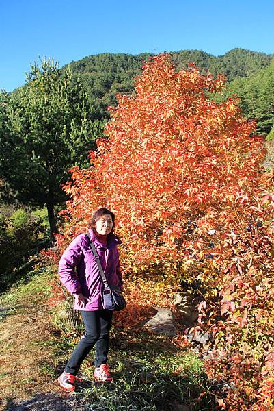 102年11月30日~12月1日武陵農場之旅 207.jpg