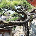 千光寺-22.JPG