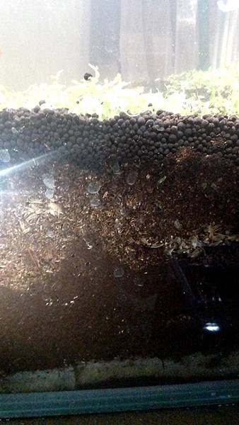 P_20160211_103258.jpg P_20160211_103258.jpg