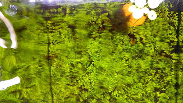 P_20160505_204016.jpg P_20160505_204016.jpg