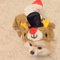 131224 SNSD Yuri - Instagram更新留言