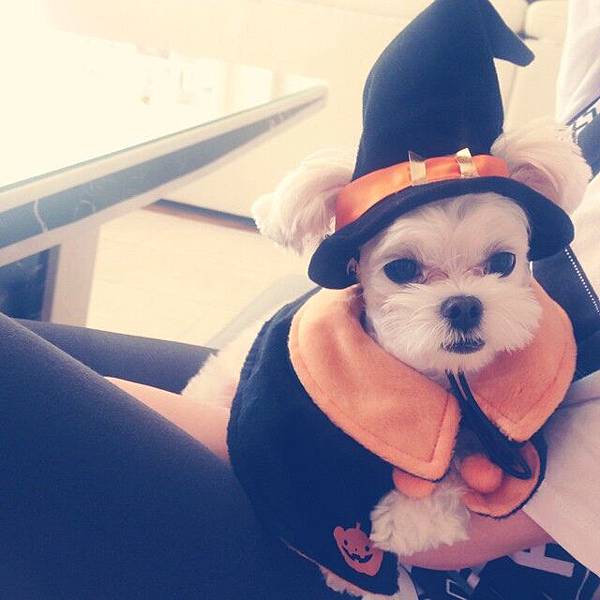 141014 SNSD Tiffany - Instagram更新留言1