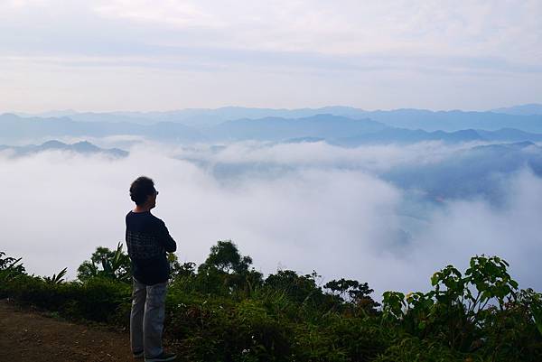 鱷魚島02.jpg