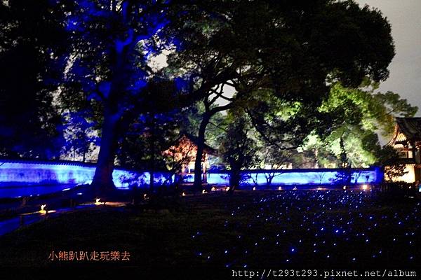 2016-0318京都青蓮院夜拍_9313.jpg