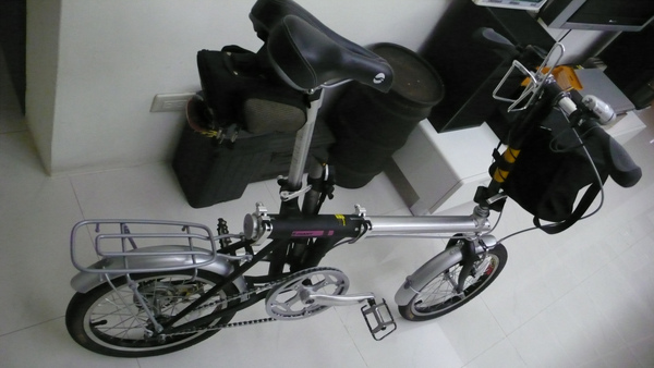 小小黑-40.jpg 小小黑-40.jpg