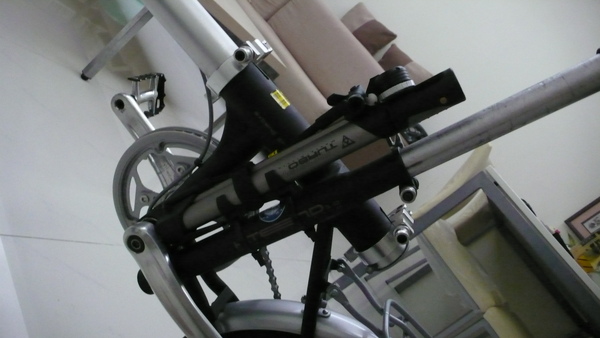 小小黑-42.JPG 小小黑-42.JPG