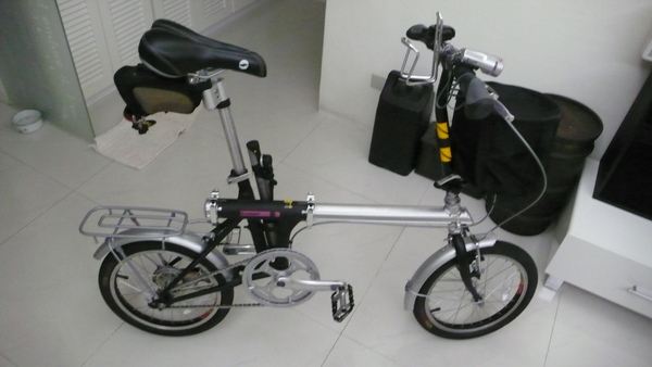 小小黑-44.JPG 小小黑-44.JPG