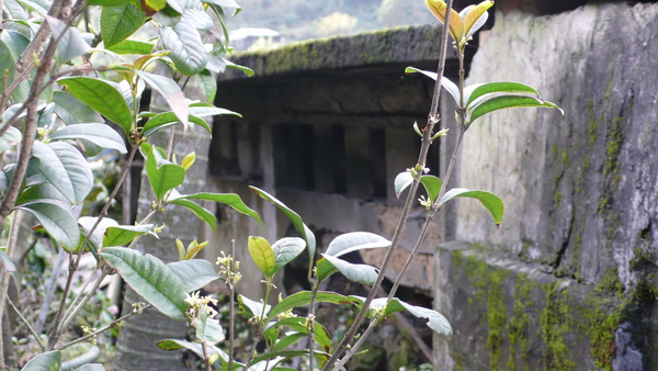 L1010216.JPG L1010216.JPG