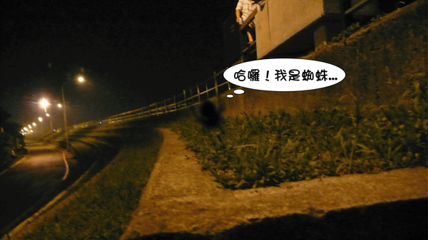 蜘蛛.jpg 蜘蛛.jpg
