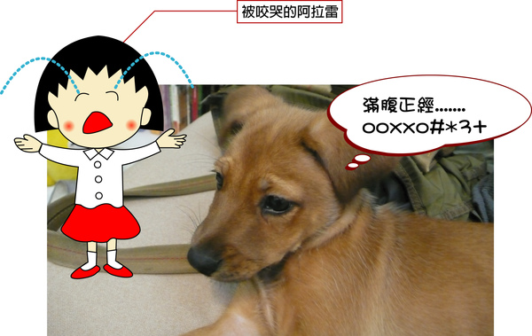 小丸子.jpg 小丸子.jpg