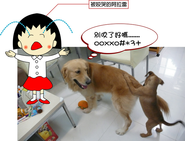 咬.jpg 咬.jpg