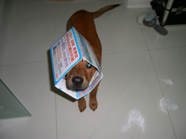 SANY0107.JPG SANY0107.JPG