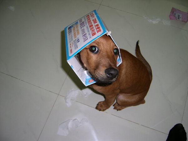 SANY0112.JPG SANY0112.JPG