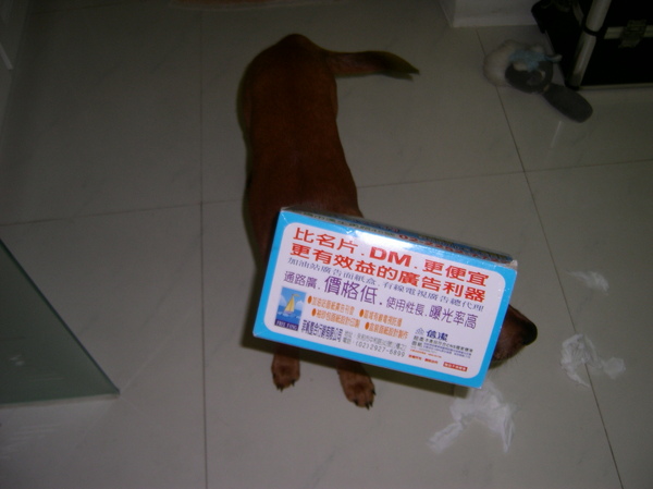 SANY0108.JPG SANY0108.JPG