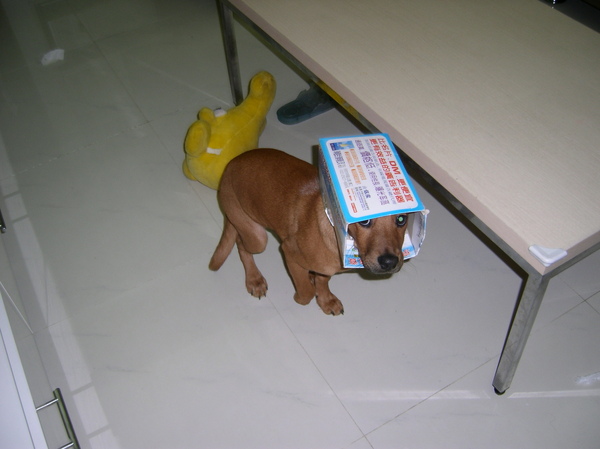 SANY0114.JPG SANY0114.JPG