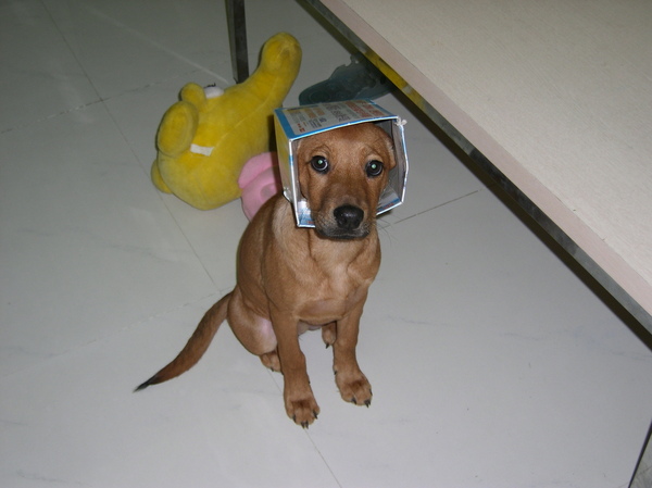 SANY0115.JPG SANY0115.JPG