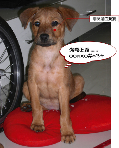 正經.jpg 正經.jpg