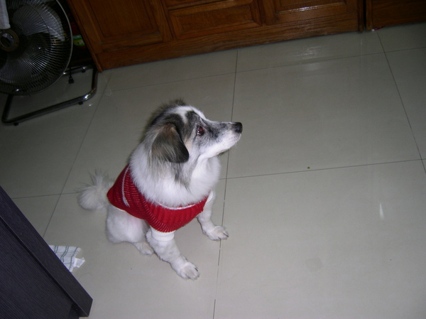 SANY0121.JPG SANY0121.JPG