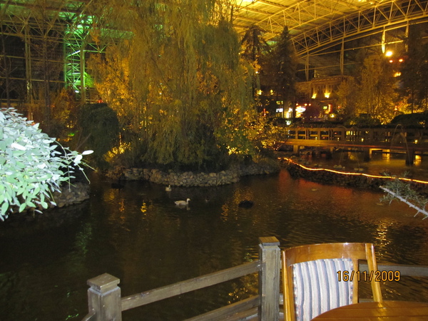 IMG_0195.JPG IMG_0195.JPG