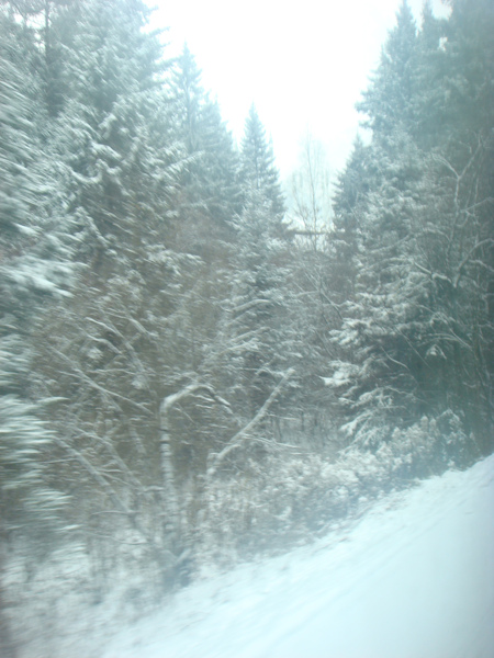 DSC00912.jpg DSC00912.jpg
