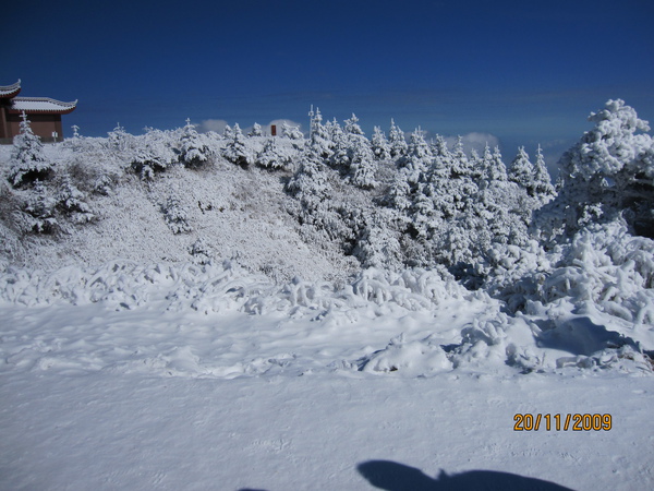IMG_0552.JPG IMG_0552.JPG