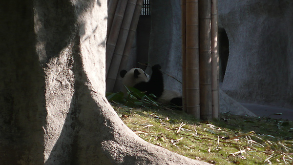 L1010934.JPG L1010934.JPG