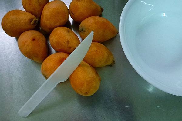 Loquat