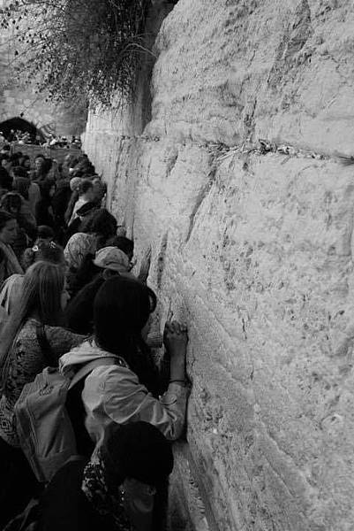 26647994_1590139527701605_193561978_n.jpg 26647994_1590139527701605_193561978_n.jpg