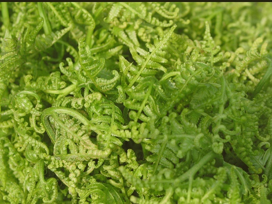 IMG_20150602_124412 IMG_20150602_124412