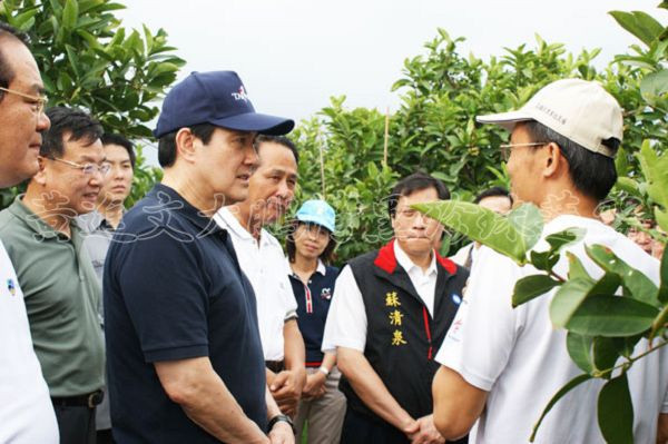 馬總統參觀蓮霧果園