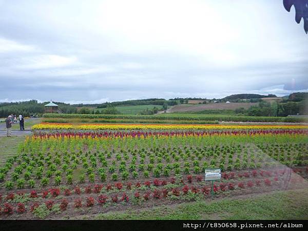 北海道 235.jpg