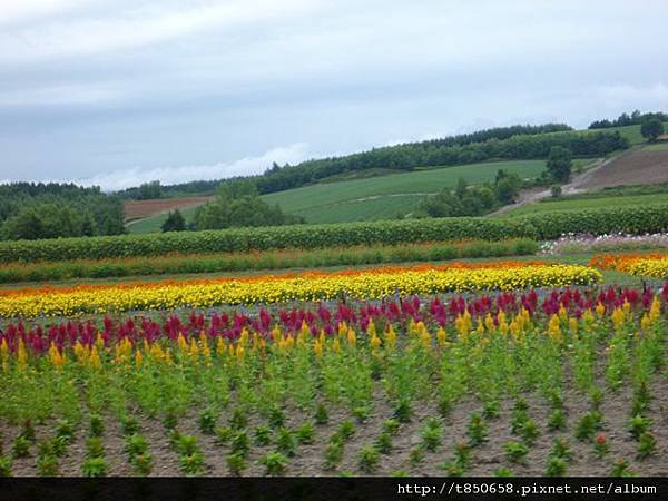 北海道 236.jpg