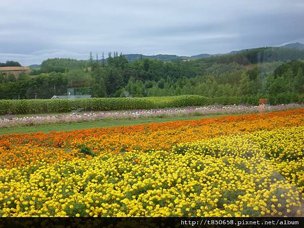 北海道 260.jpg