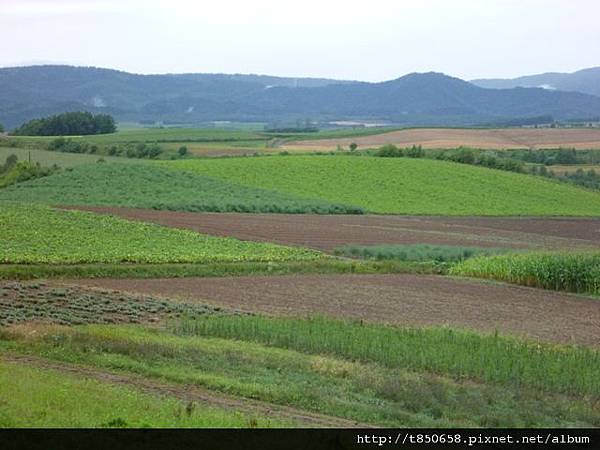 北海道 297.jpg