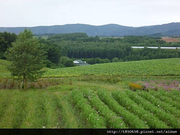 北海道 298.jpg