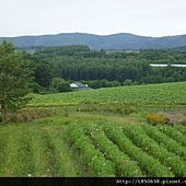 北海道 298.jpg