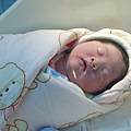 F23_20101201103434905.jpg