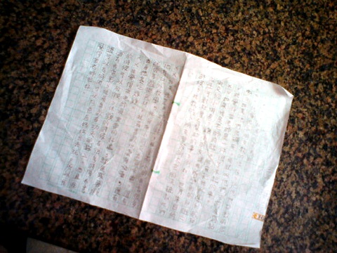 東佑作文2.jpg