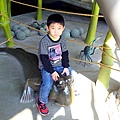 彈塗魚.jpg