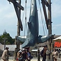 P1010015