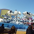 P1010048