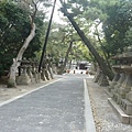 P1010063