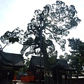 P1010088