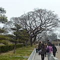 P1010098
